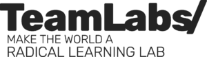 team labs